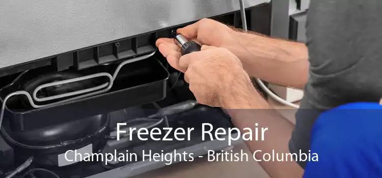 Freezer Repair Champlain Heights - British Columbia
