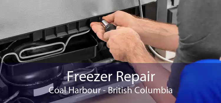 Freezer Repair Coal Harbour - British Columbia