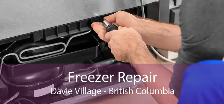Freezer Repair Davie Village - British Columbia