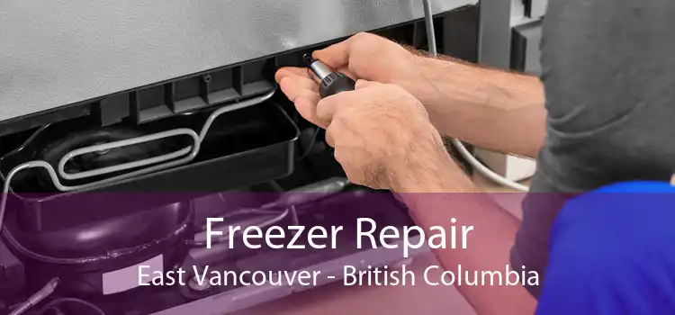 Freezer Repair East Vancouver - British Columbia