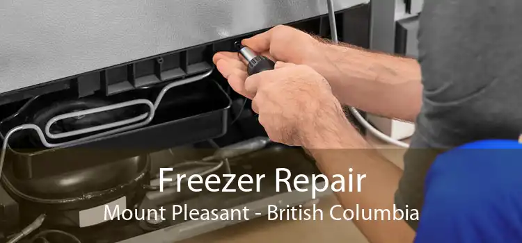 Freezer Repair Mount Pleasant - British Columbia