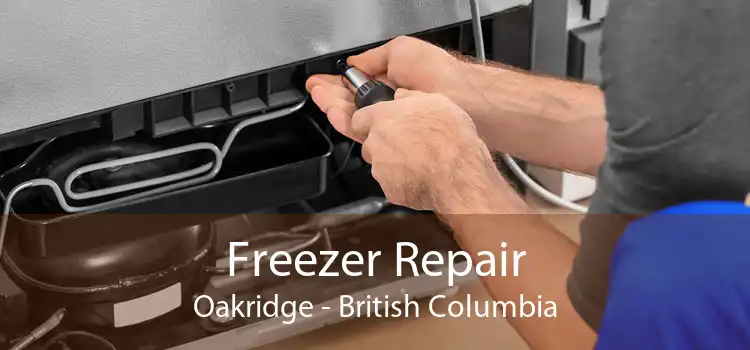 Freezer Repair Oakridge - British Columbia