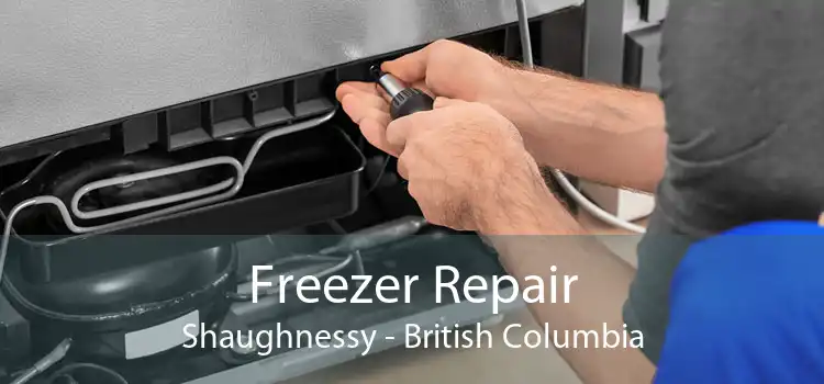 Freezer Repair Shaughnessy - British Columbia