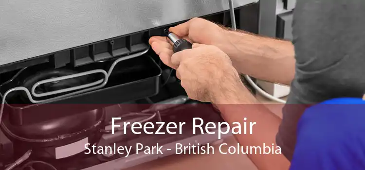 Freezer Repair Stanley Park - British Columbia