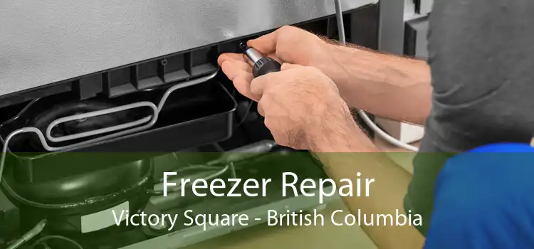 Freezer Repair Victory Square - British Columbia