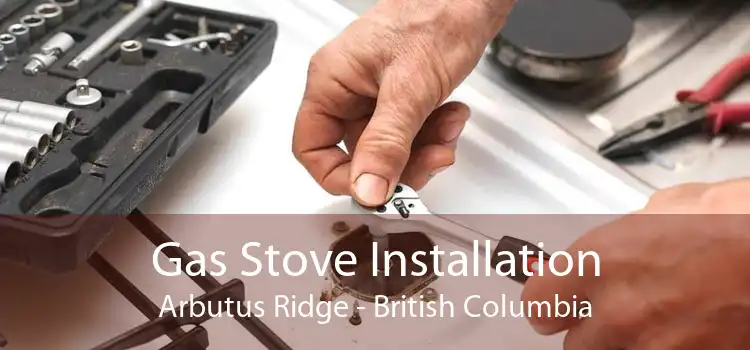 Gas Stove Installation Arbutus Ridge - British Columbia