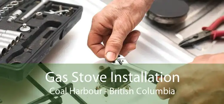 Gas Stove Installation Coal Harbour - British Columbia