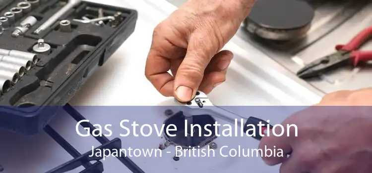 Gas Stove Installation Japantown - British Columbia