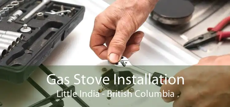Gas Stove Installation Little India - British Columbia