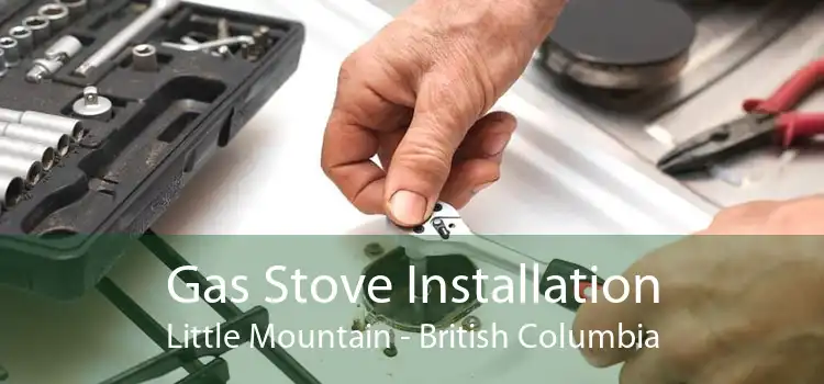 Gas Stove Installation Little Mountain - British Columbia