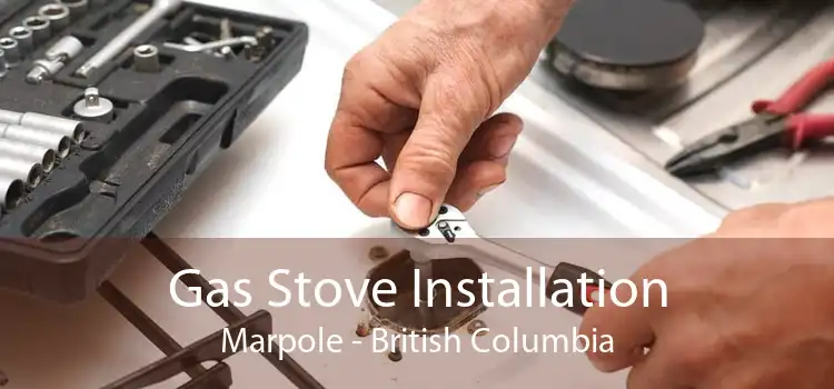 Gas Stove Installation Marpole - British Columbia