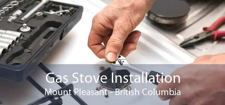 Gas Stove Installation Mount Pleasant - British Columbia
