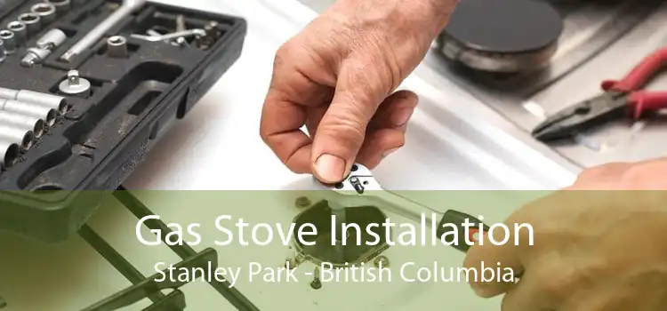 Gas Stove Installation Stanley Park - British Columbia