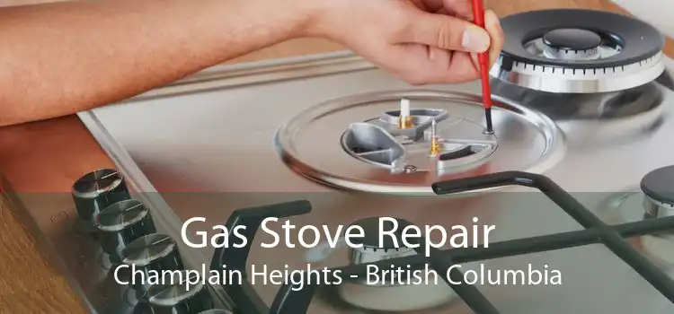 Gas Stove Repair Champlain Heights - British Columbia