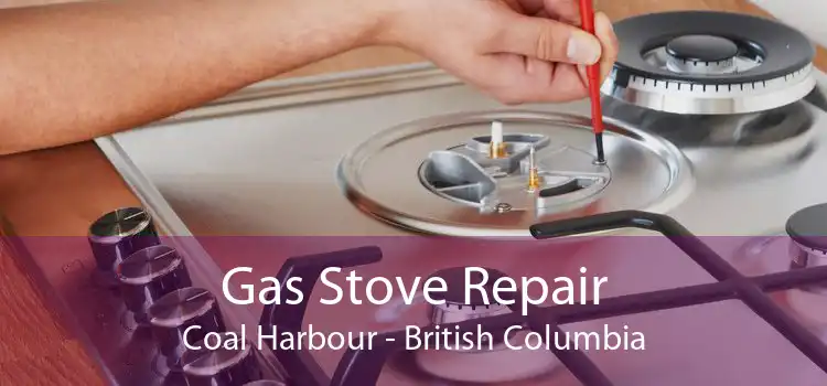 Gas Stove Repair Coal Harbour - British Columbia