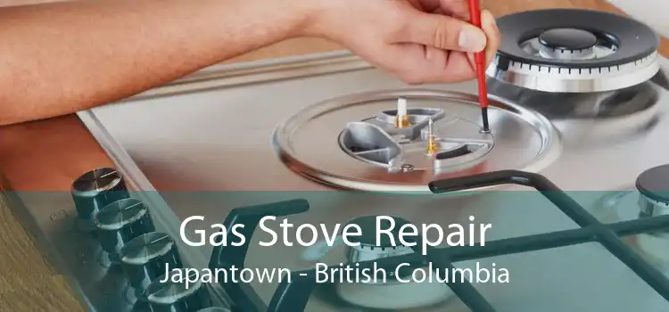 Gas Stove Repair Japantown - British Columbia