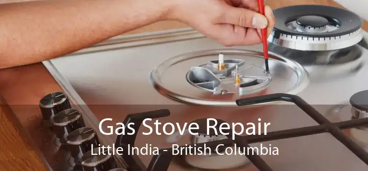 Gas Stove Repair Little India - British Columbia