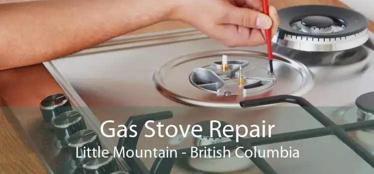 Gas Stove Repair Little Mountain - British Columbia