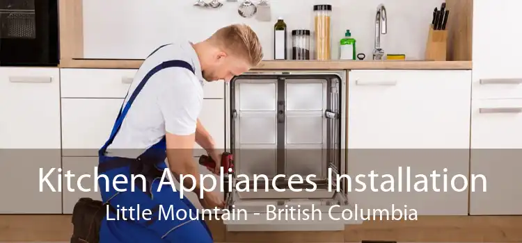 Kitchen Appliances Installation Little Mountain - British Columbia
