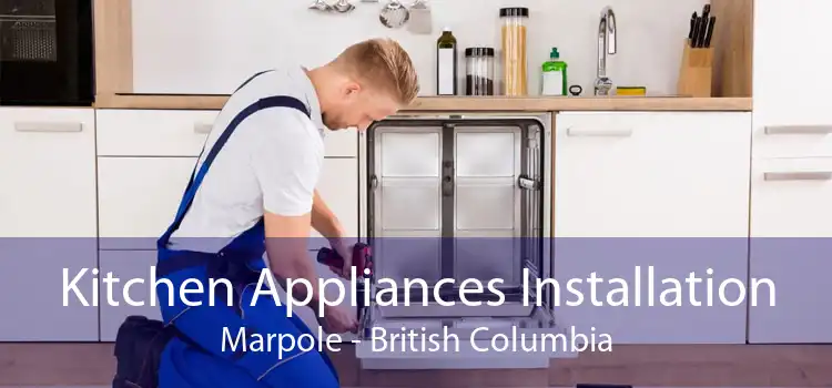 Kitchen Appliances Installation Marpole - British Columbia