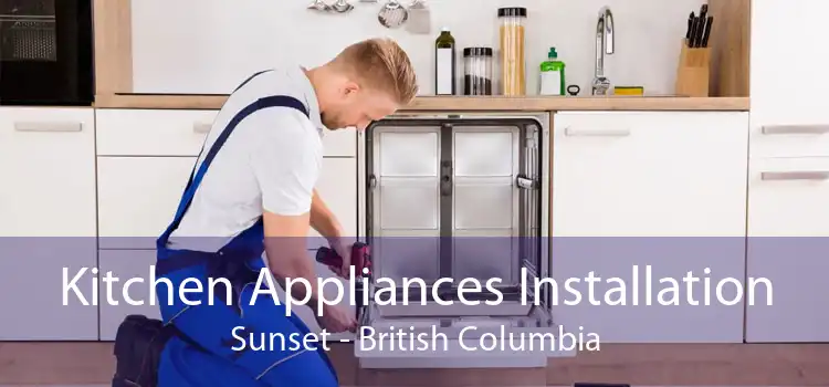 Kitchen Appliances Installation Sunset - British Columbia