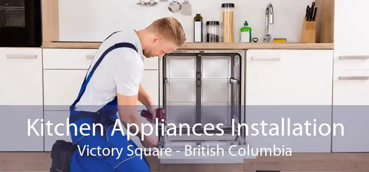 Kitchen Appliances Installation Victory Square - British Columbia