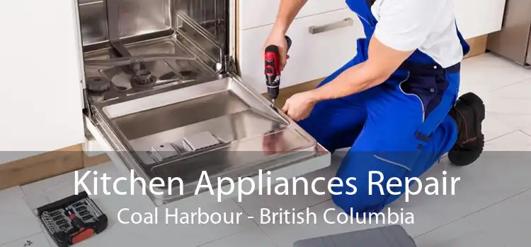 Kitchen Appliances Repair Coal Harbour - British Columbia