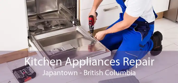 Kitchen Appliances Repair Japantown - British Columbia
