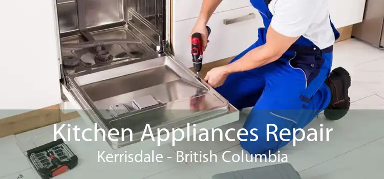 Kitchen Appliances Repair Kerrisdale - British Columbia