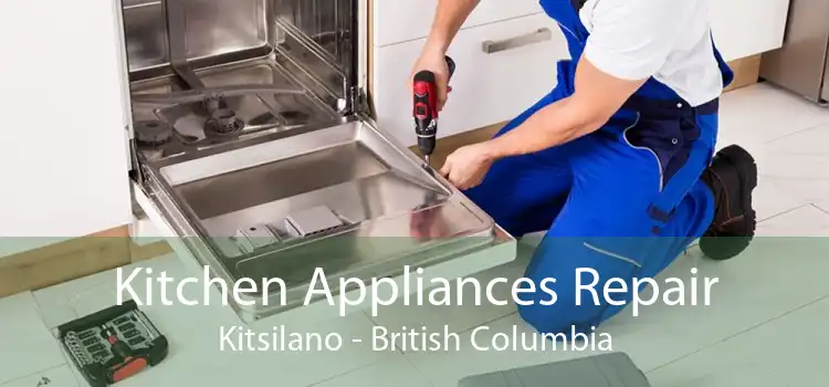 Kitchen Appliances Repair Kitsilano - British Columbia