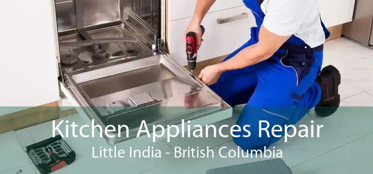 Kitchen Appliances Repair Little India - British Columbia