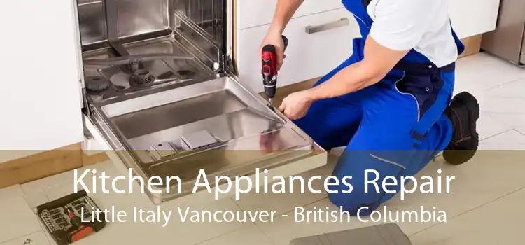 Kitchen Appliances Repair Little Italy Vancouver - British Columbia
