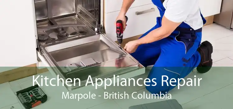 Kitchen Appliances Repair Marpole - British Columbia