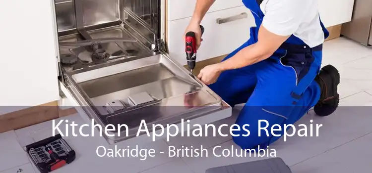 Kitchen Appliances Repair Oakridge - British Columbia