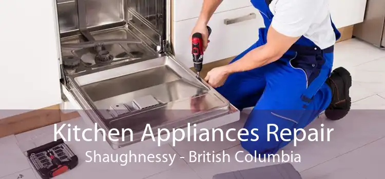 Kitchen Appliances Repair Shaughnessy - British Columbia