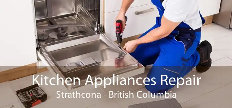 Kitchen Appliances Repair Strathcona - British Columbia