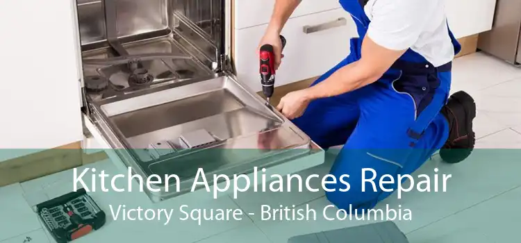 Kitchen Appliances Repair Victory Square - British Columbia