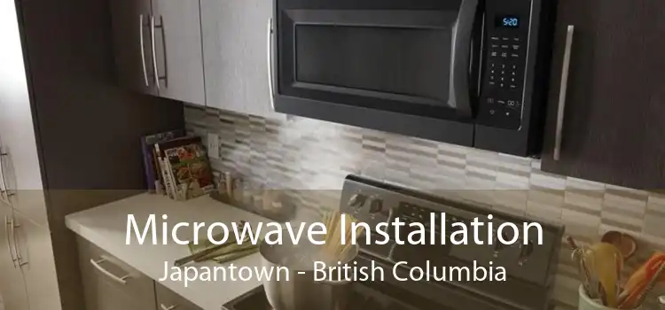 Microwave Installation Japantown - British Columbia