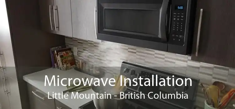 Microwave Installation Little Mountain - British Columbia