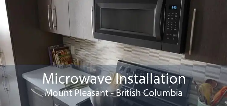 Microwave Installation Mount Pleasant - British Columbia