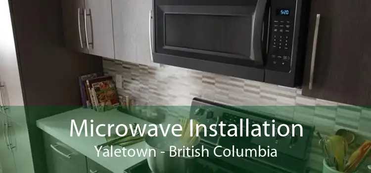 Microwave Installation Yaletown - British Columbia