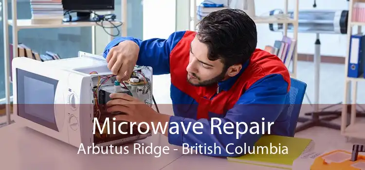 Microwave Repair Arbutus Ridge - British Columbia