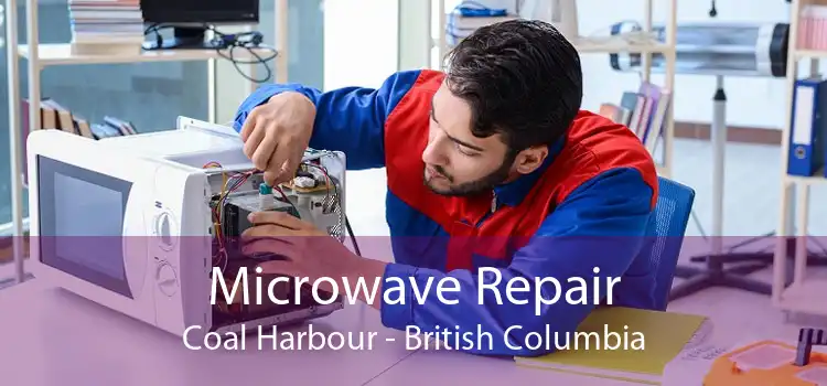 Microwave Repair Coal Harbour - British Columbia