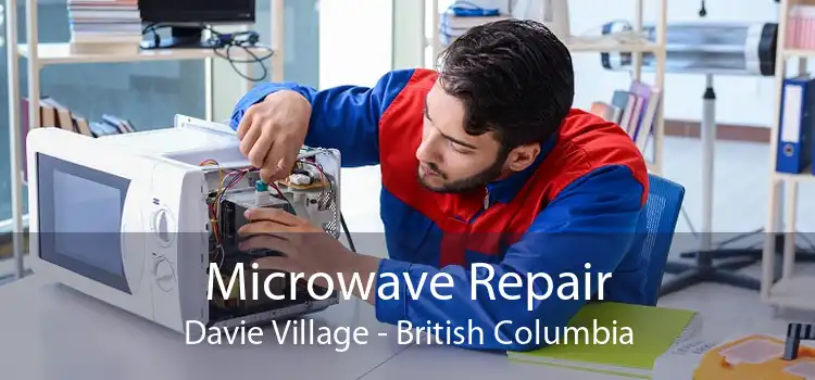 Microwave Repair Davie Village - British Columbia