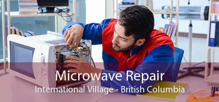 Microwave Repair International Village - British Columbia
