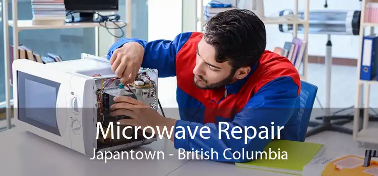 Microwave Repair Japantown - British Columbia