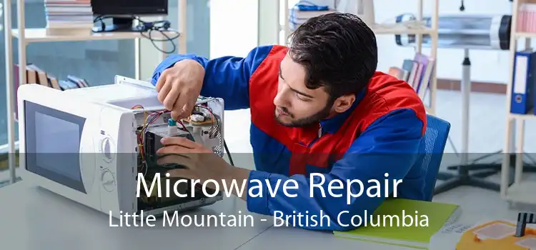 Microwave Repair Little Mountain - British Columbia