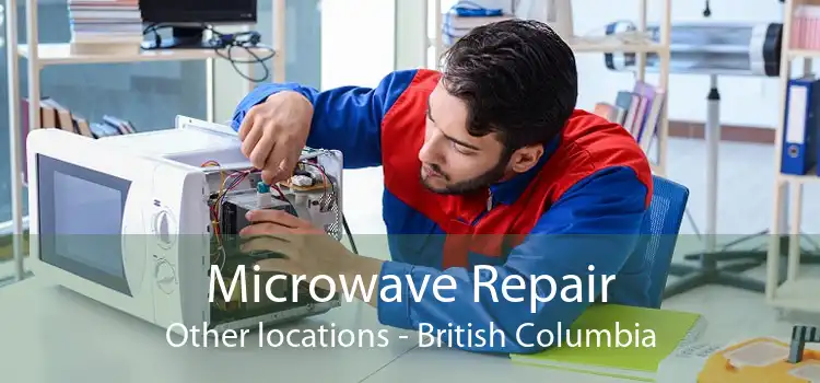 Microwave Repair Other locations - British Columbia