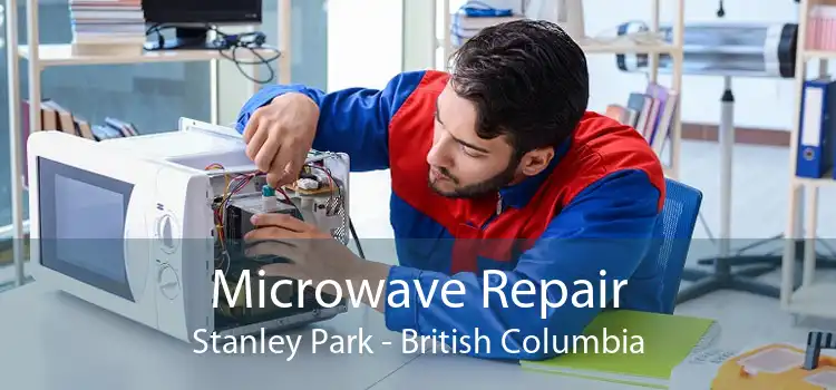 Microwave Repair Stanley Park - British Columbia