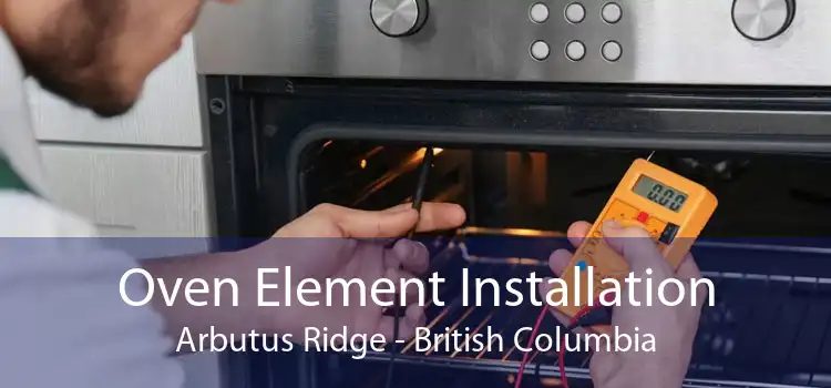 Oven Element Installation Arbutus Ridge - British Columbia